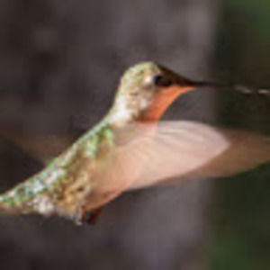 Meet your Posher, Wouter